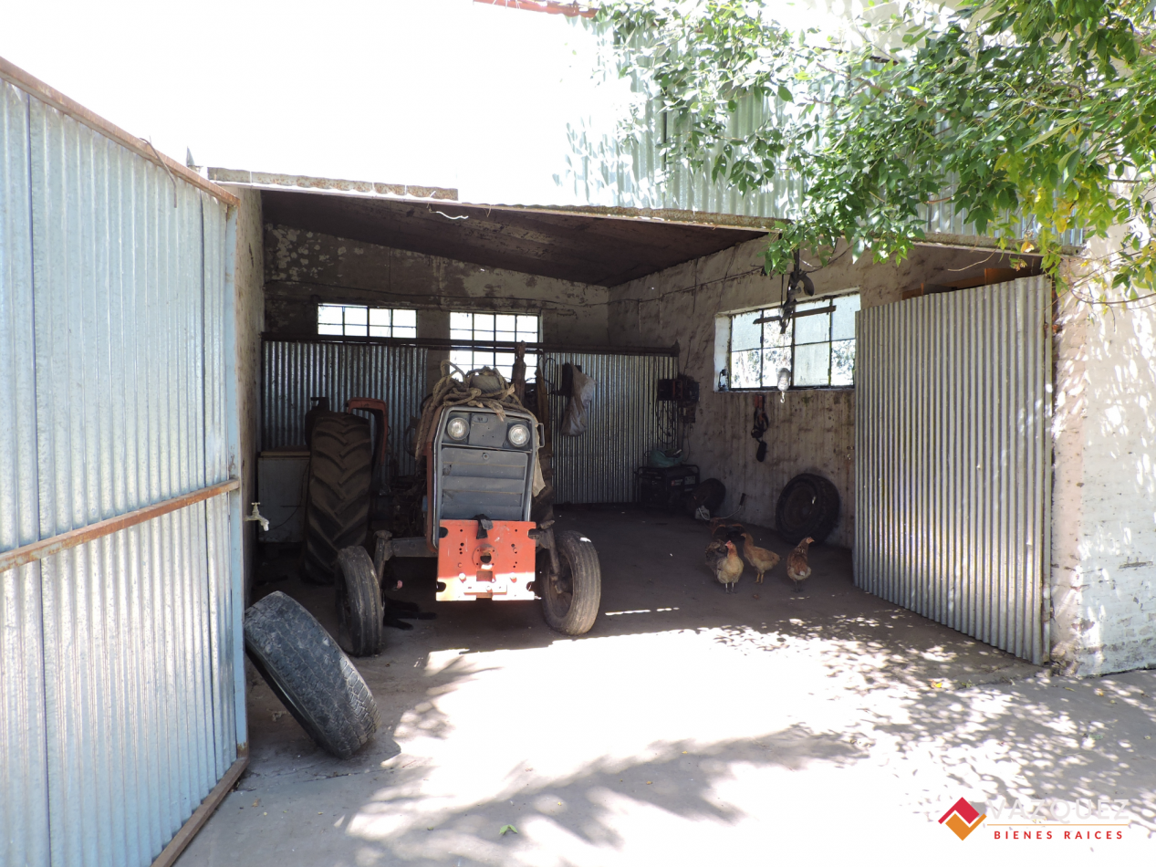 Apto Ganaderia y Tambo  con RENTA