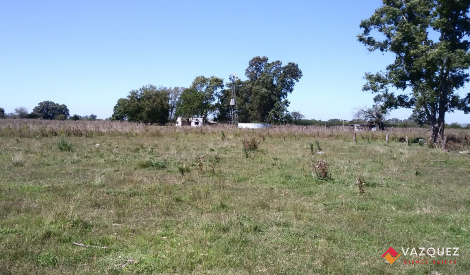 Apto Ganaderia y Tambo  con RENTA