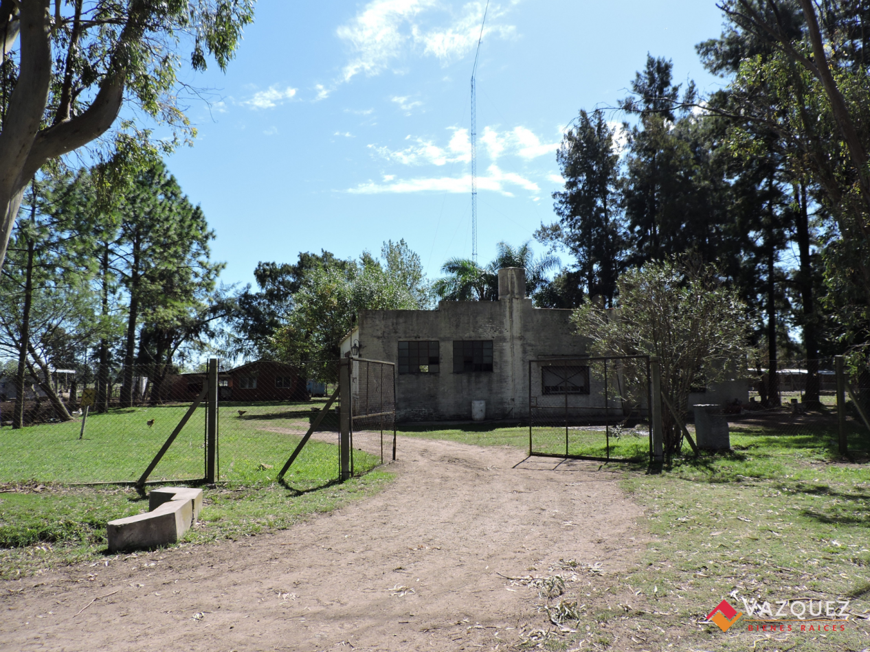 Apto Ganaderia y Tambo  con RENTA