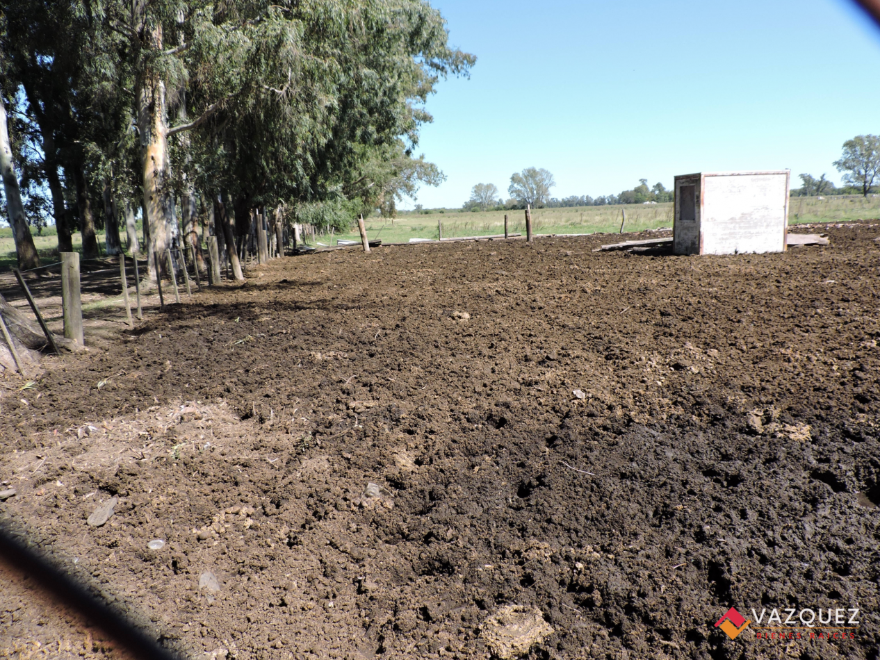 Apto Ganaderia y Tambo  con RENTA
