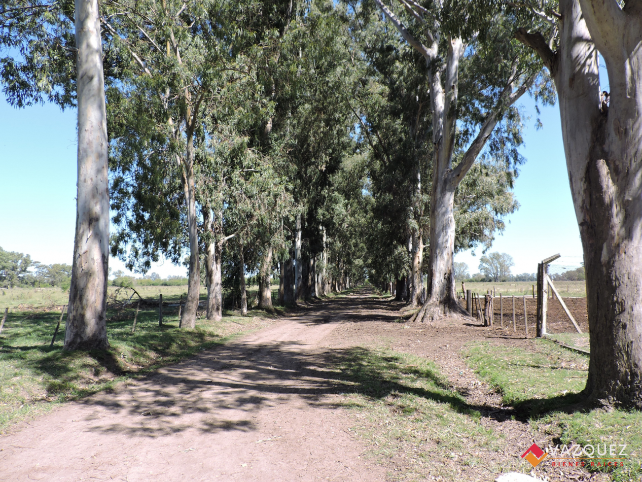 Apto Ganaderia y Tambo  con RENTA