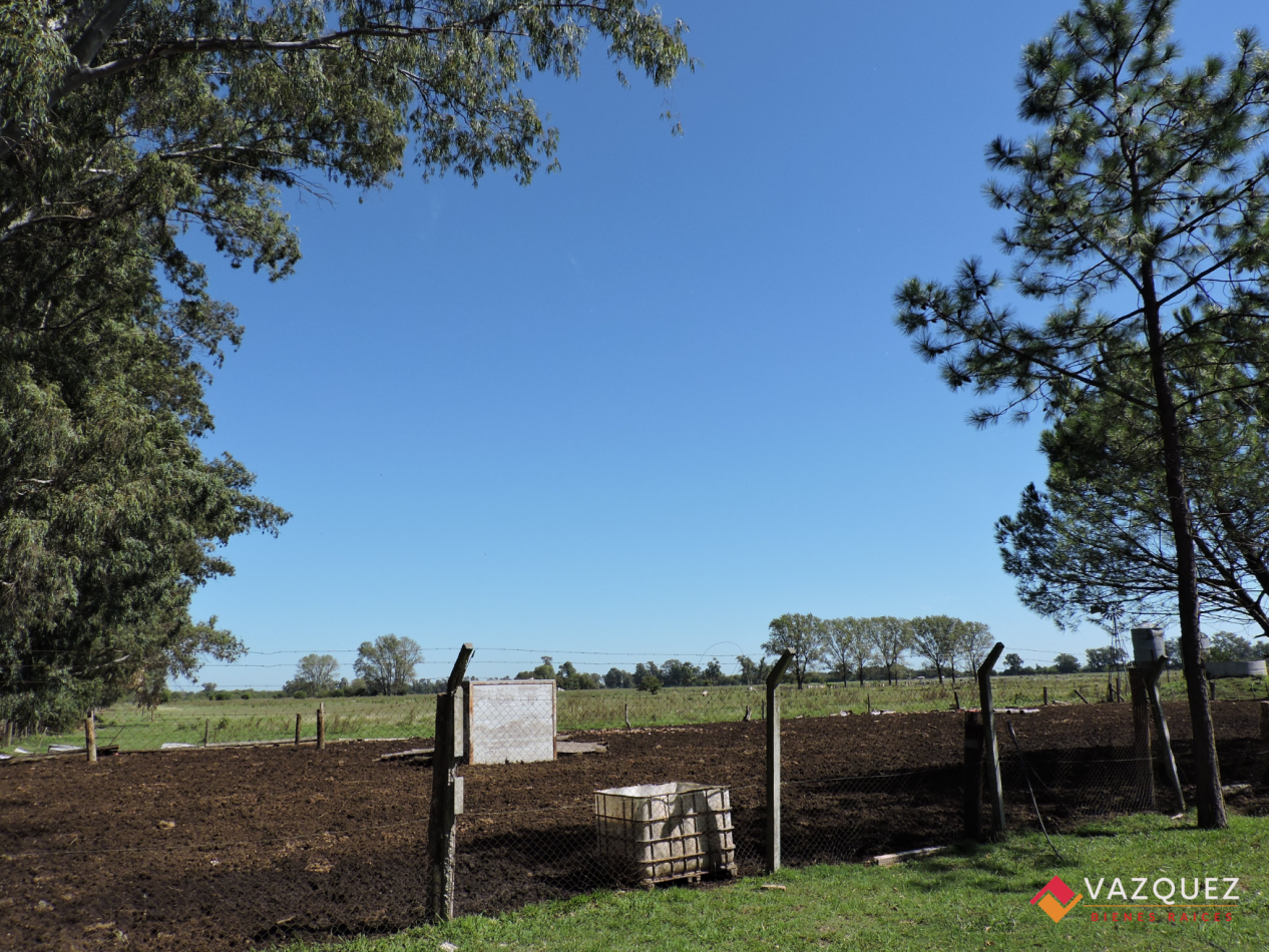 Apto Ganaderia y Tambo  con RENTA