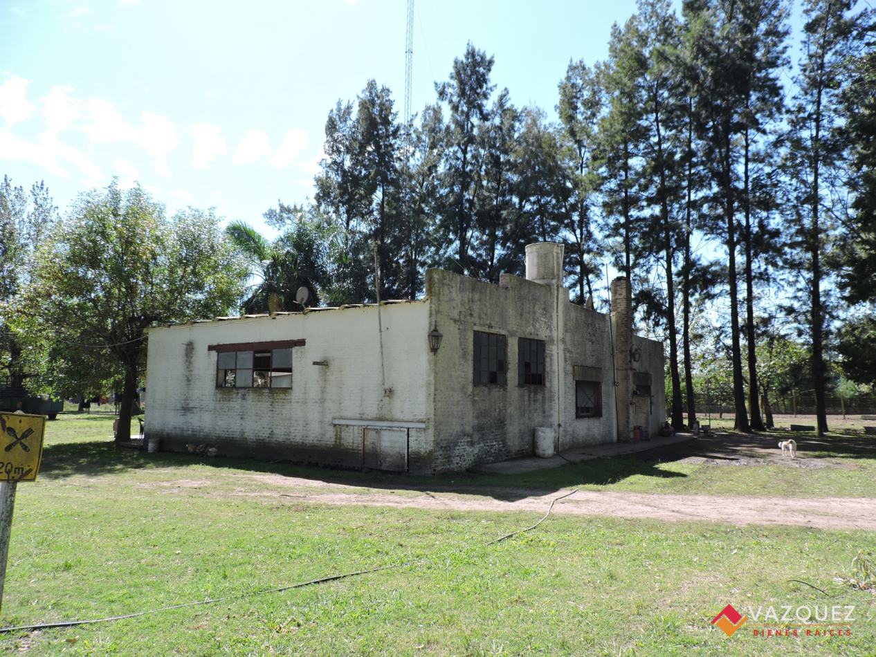 Apto Ganaderia y Tambo  con RENTA