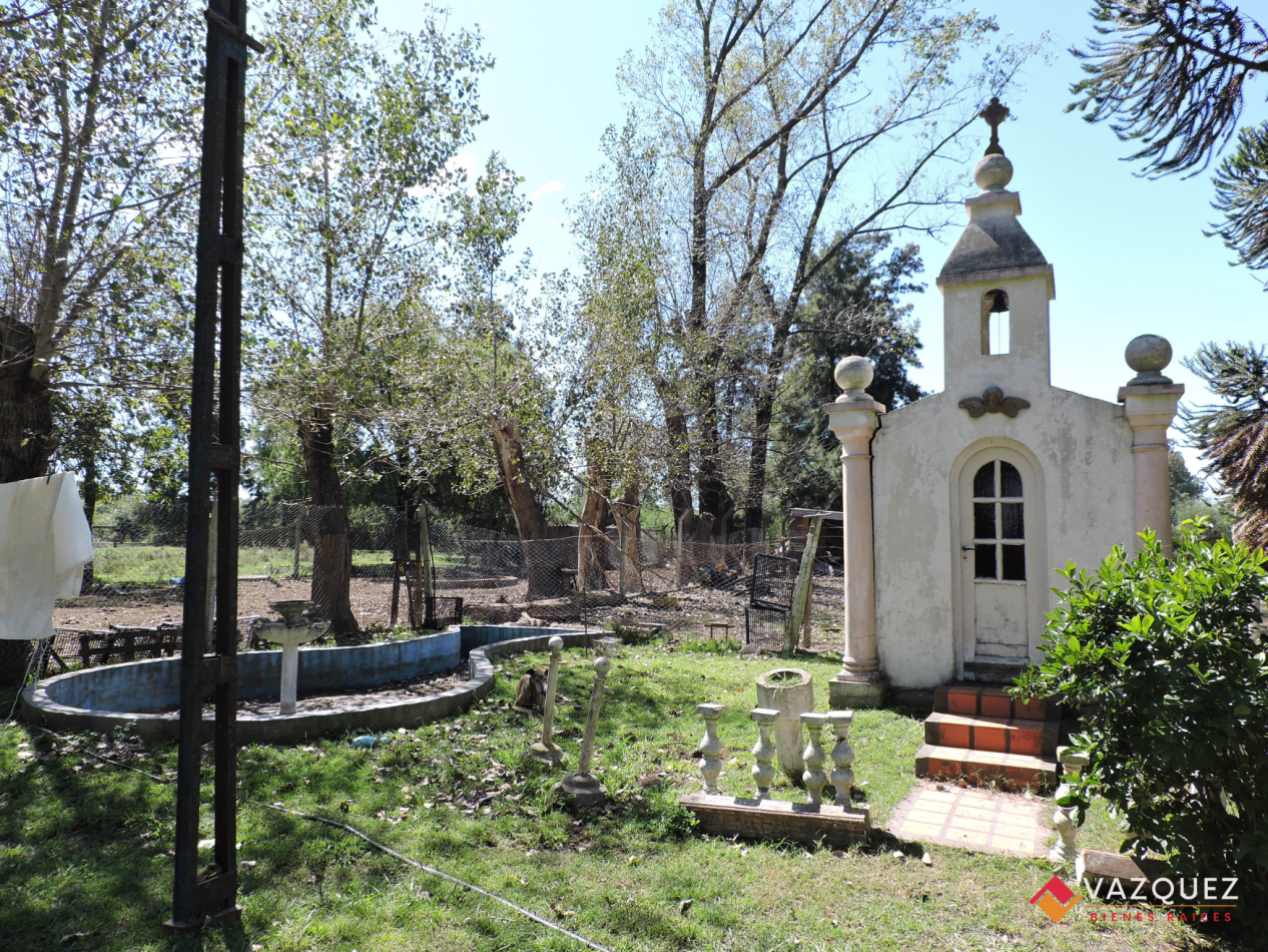 Apto Ganaderia y Tambo  con RENTA