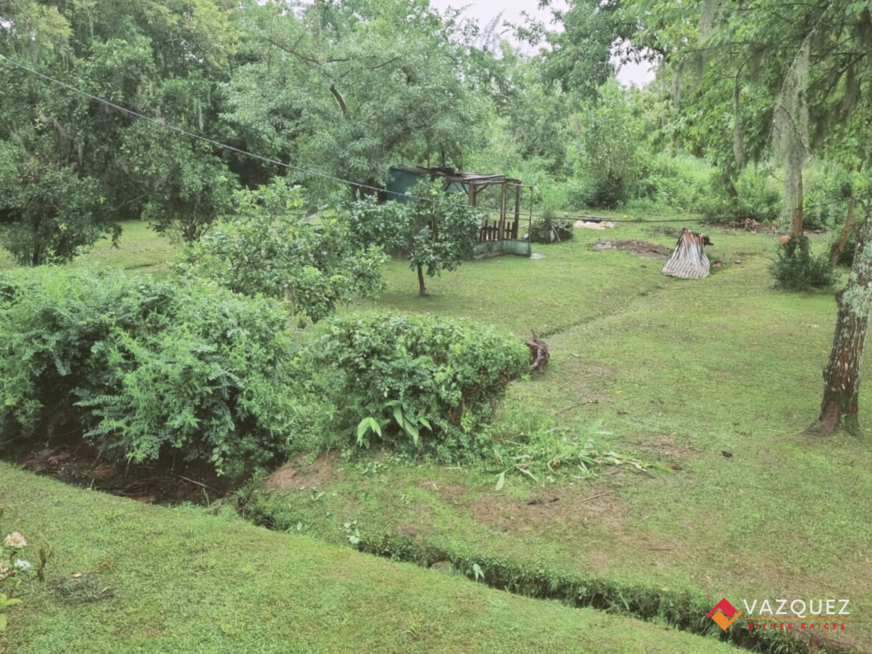 Isla en el Tigre Parana de Las Palmas