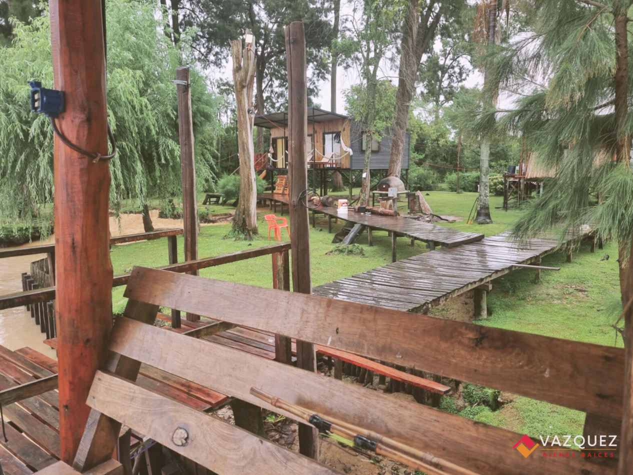 Isla en el Tigre Parana de Las Palmas