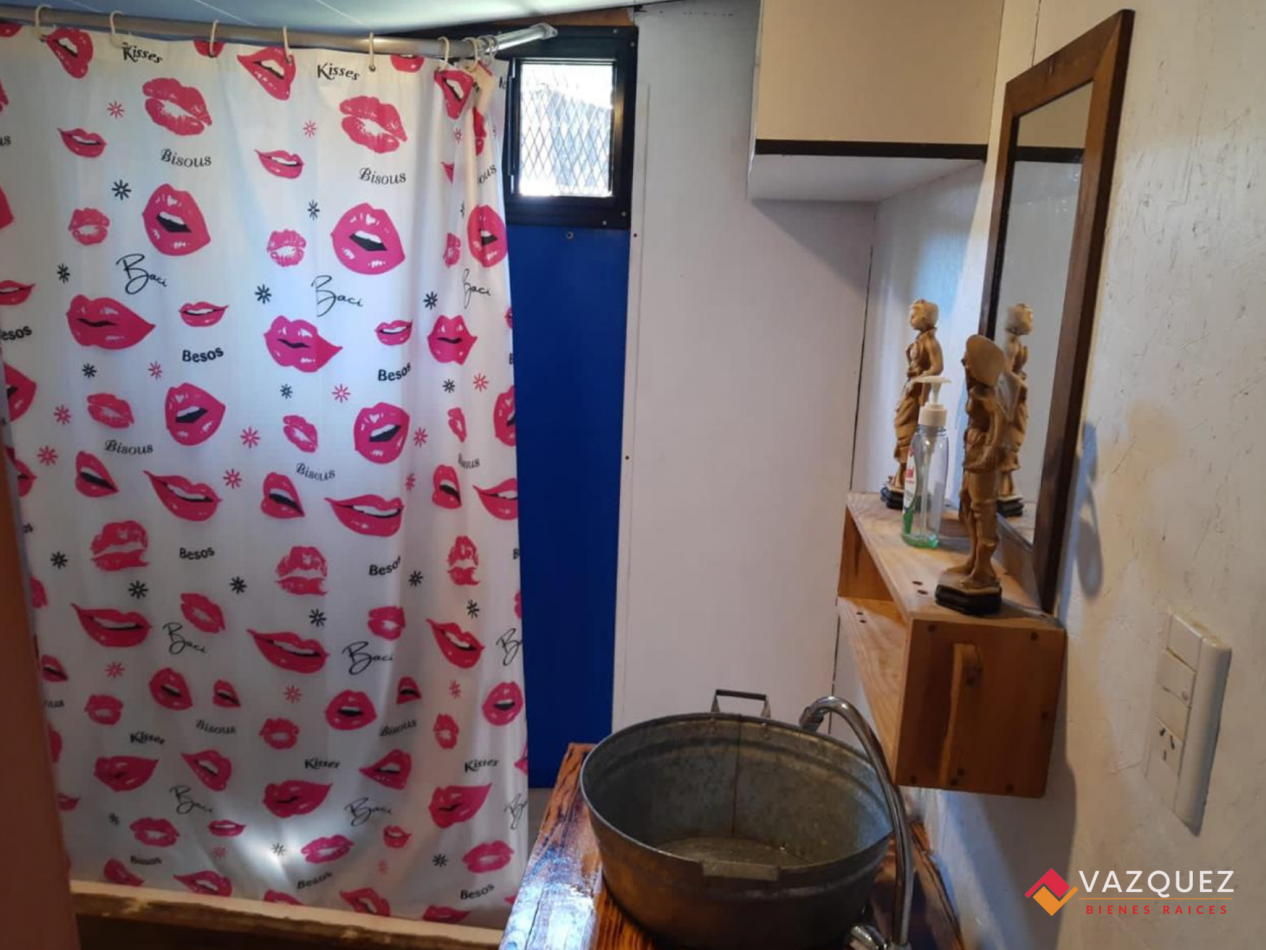 Isla en el Tigre Parana de Las Palmas